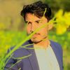 alii__________