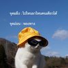 thanwar00446