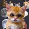 user108991021