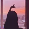 aevana__16