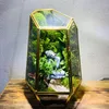 amazongreentk