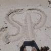 shanishksy