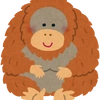 orangutan_sarutan