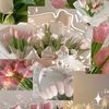 noor423029
