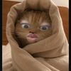rahmat_2610