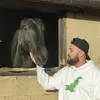 tawqeer.y