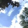 leonardo_santos.nadador
