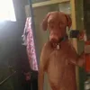 mimijaan7
