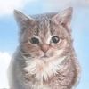 brrr.its.cold.in.here