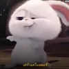 esgjvbjk