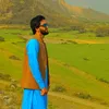 syedjawahirsha889