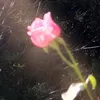 mei_lye12