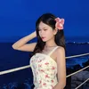 nghann_cutii