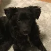 me_loves_animals_