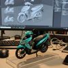 vrbublck