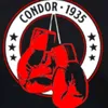 condor1935