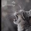 صديقتك