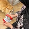 tasneem2006__
