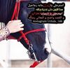 user7380087093