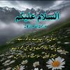 nousheenr