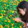 mebegao022025