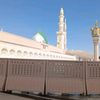 eshalgul1