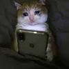 nqocctrawm_