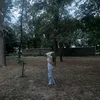 alina_wwxx