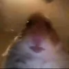 yjwpj_