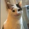 meomuop.04
