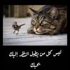 user4246128291558