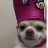 itzz_squezzy