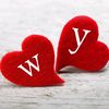 yaseryaser630