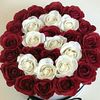 shahnaz1260