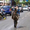 si_biru.193
