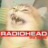 radiohead_enjoyer22