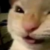 ytrnhx