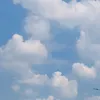 miyamursgf
