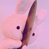 grhamcracker_