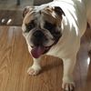 rob_536