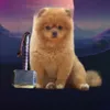 jrgenwinkens