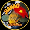 jiahao_channafish