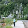 tuyendang13