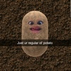 potato_head201