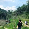 baotran_207