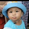 mamey_adhe2
