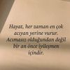 lislis99__