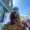 _jameswajsar_