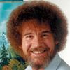 reaibobross