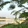rawan_alqhtanii